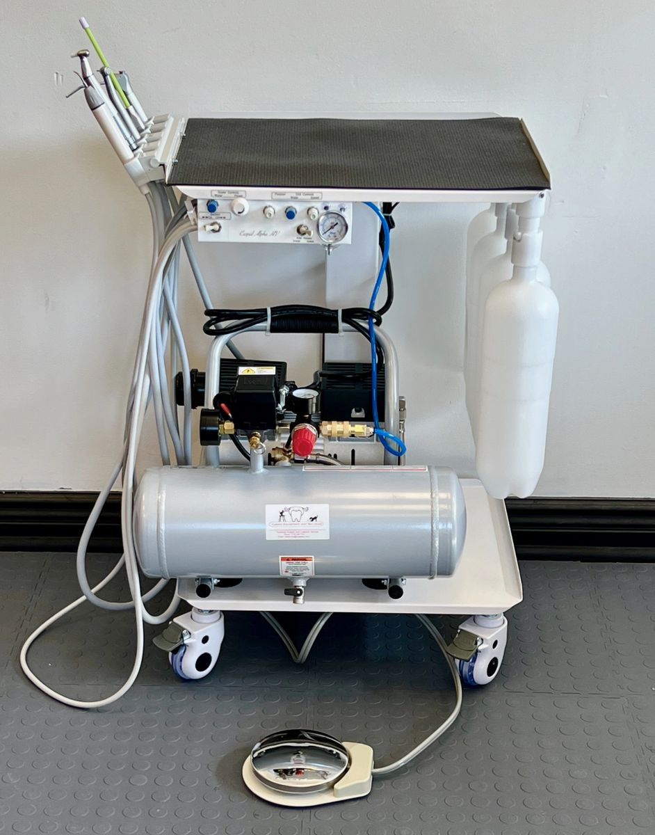 Cuspid Veterinary Dental Alpha HV